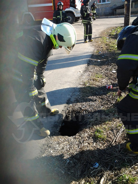 &#1055;&#1088;&#1080;&#1096;&#1077;&#1083;, &#1091;&#1074;&#1080;&#1076;&#1077;&#1083;, &#1087;&#1086;&#1073;&#1077;&#1076;&#1080;&#1083;