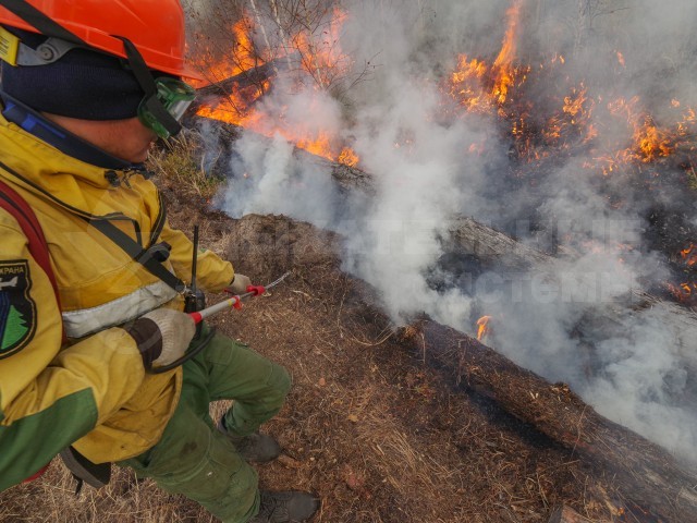 Десантники-пожарные ФБУ "Авиалесоохрана" на локализации лесного пожара