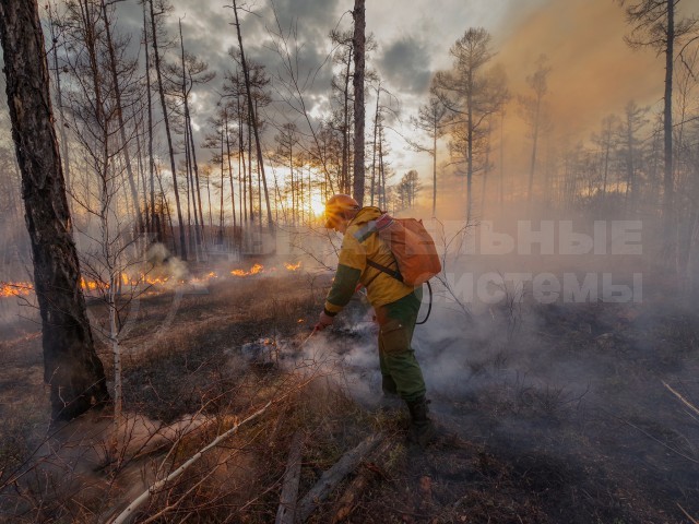 Десантники-пожарные ФБУ "Авиалесоохрана" на локализации лесного пожара