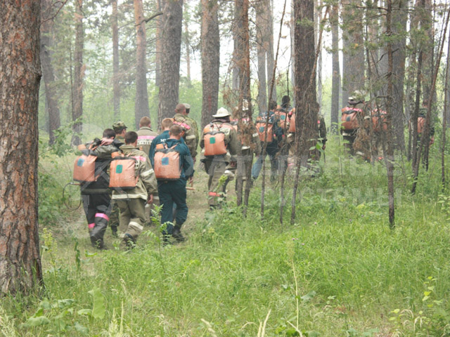 На тушение лесного пожара