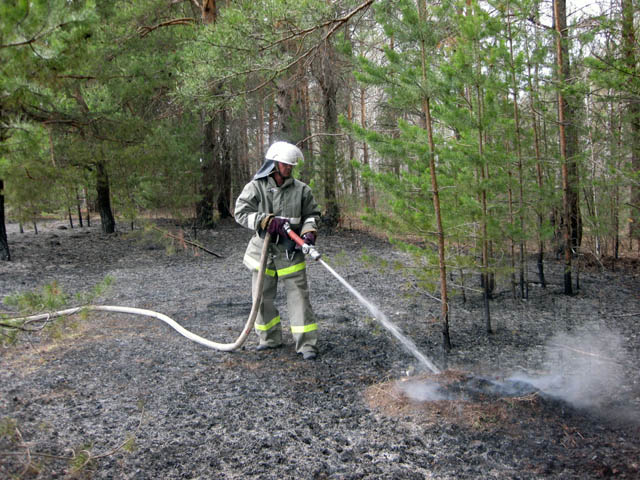 Лесные пожары 2010