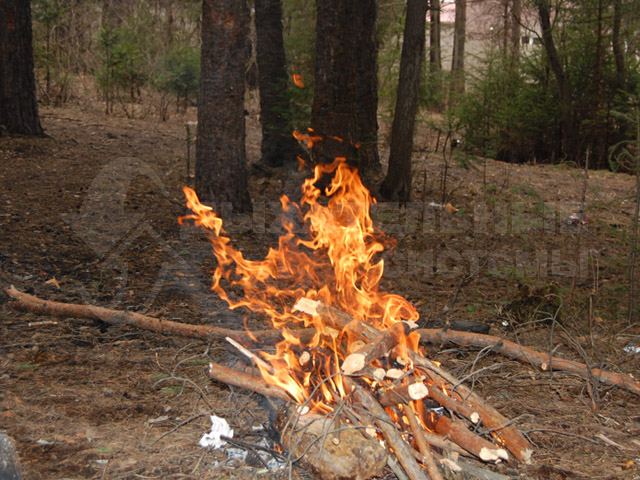 Люди ,берегите лес от огня!